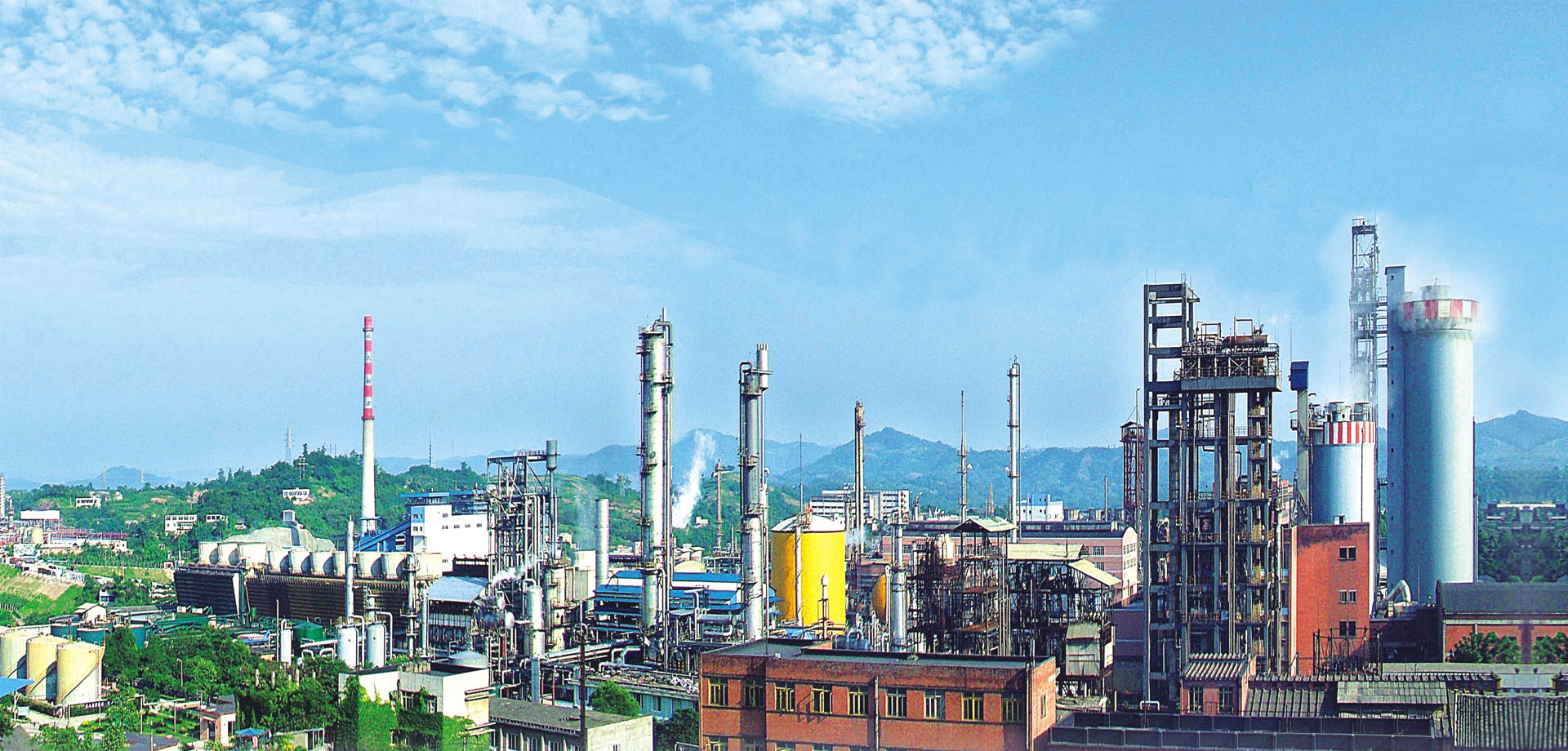 國肥行動 | 專訪瀘天化九禾馮學寧 緊跟時代步伐，勇立創新潮頭